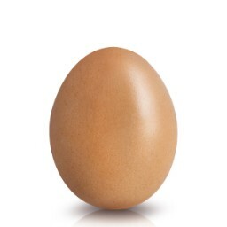 egg_egg avatar