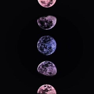 Aceofspades4467 avatar