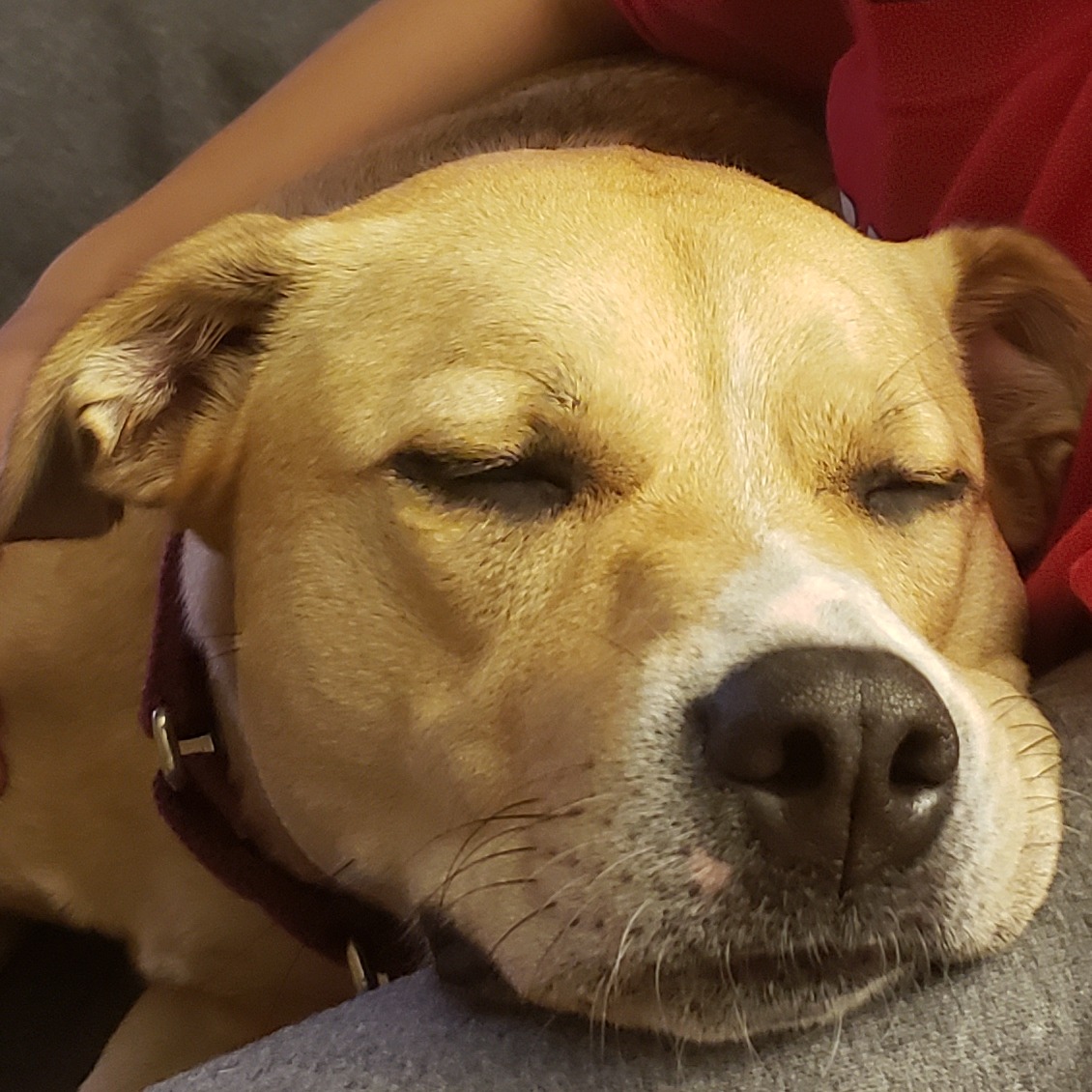 Over_FriedChikin avatar