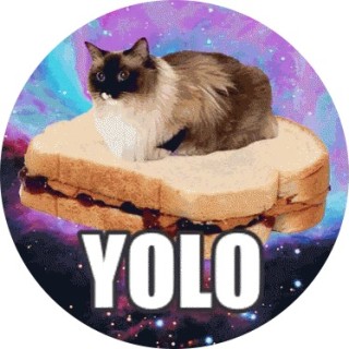 marymemespotato avatar