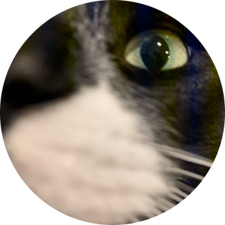 itsfreerealestatee__ avatar