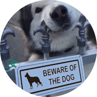 Phantomdoggo avatar