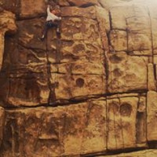 mosqueetobites avatar