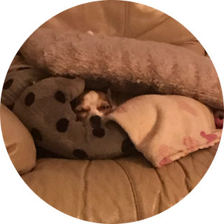 best_memer101 avatar