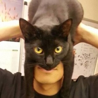 TheMaskandballsack