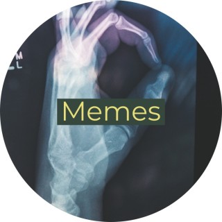 mrmeme_winter avatar