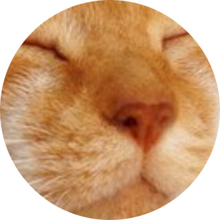 bugabuga_meme avatar