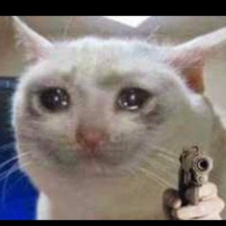 thetrue_memelord avatar