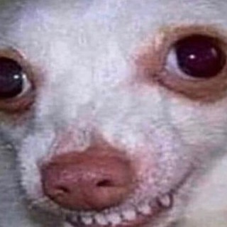 Noobking_1165 avatar