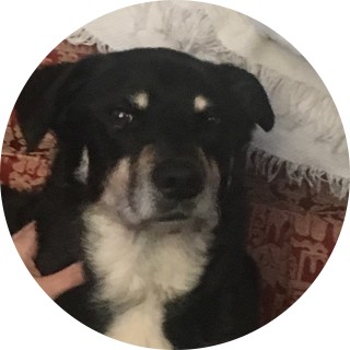 fatmemegod.113 avatar