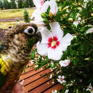 Sky.Schnurpelz. avatar