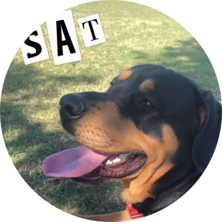 brybrythefrenchfry avatar