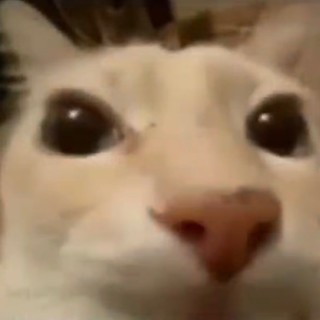 hypercannon3D avatar