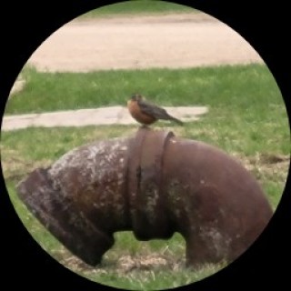 ConfidentCursive avatar