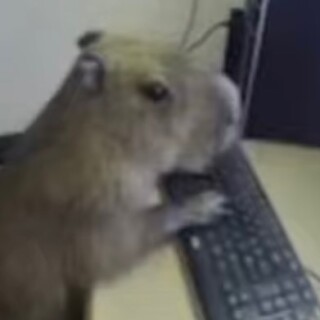 qwertybonkoko avatar