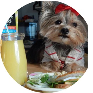 MissMisaMinnie avatar