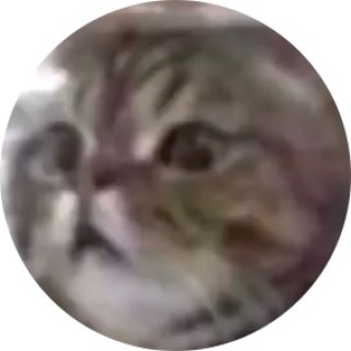 sweaty_meme_kid avatar