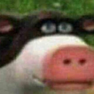 Ihavealittlepipi avatar