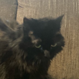 ryanthememer27 avatar