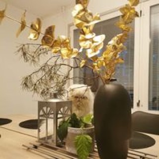 dilrubakhanam01 avatar