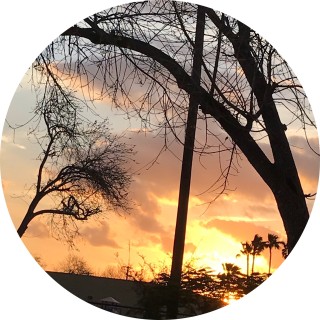 samanthasalinas04 avatar