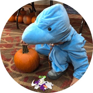 mememaster247 avatar