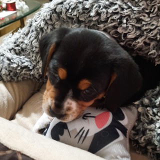 tomboymemes61 avatar