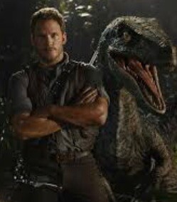 sophia-fletcher avatar