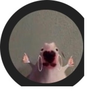 HEALTHYMEMES4U avatar