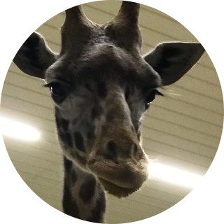 remarkable_memes avatar