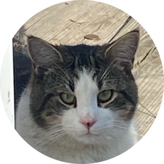 jasoncramer125 avatar