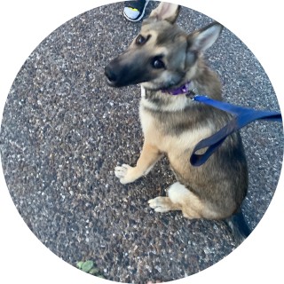 mexican_gemini_ avatar