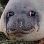 That_One_Guy__ avatar