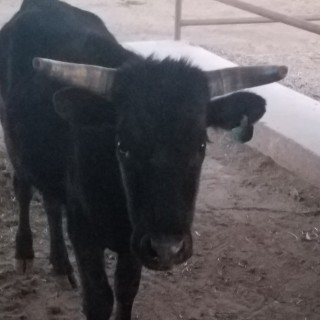 Honestly_though avatar