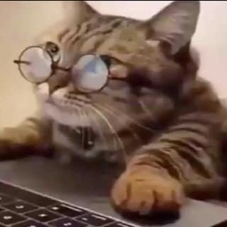 Annathememegirl avatar