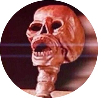 scary_skeleton_ avatar