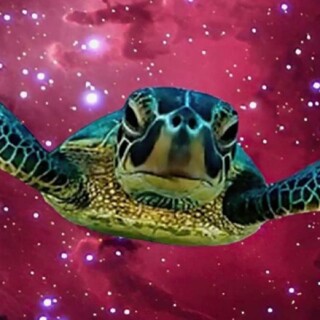 fr_gay_as_hell avatar