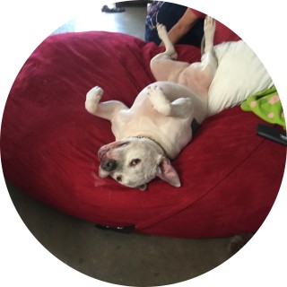 Imbadatmackingmeme avatar