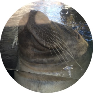 not_really_funny avatar