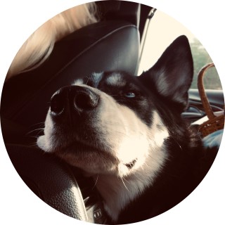 my_funny_side avatar