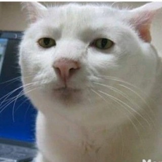 leaveacommentabout avatar