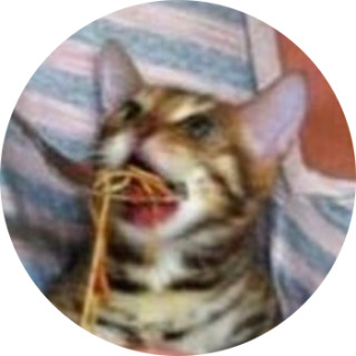 yourjojowaifu avatar