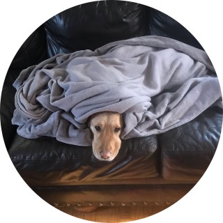 uwuhellofrens avatar