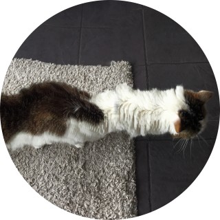 somedude_memes avatar