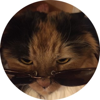 funny_animal_memes avatar