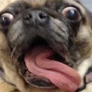 Lol.theboykyle avatar