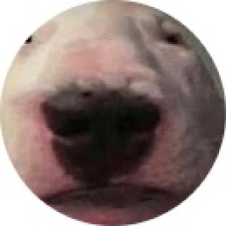 reintheweirdthing_yt avatar