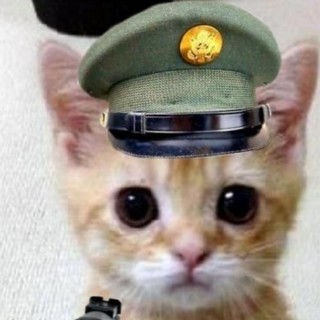 president.CAT avatar