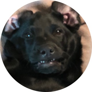 animalsterling