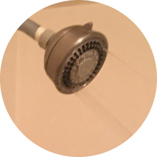 dankyboi42069 avatar